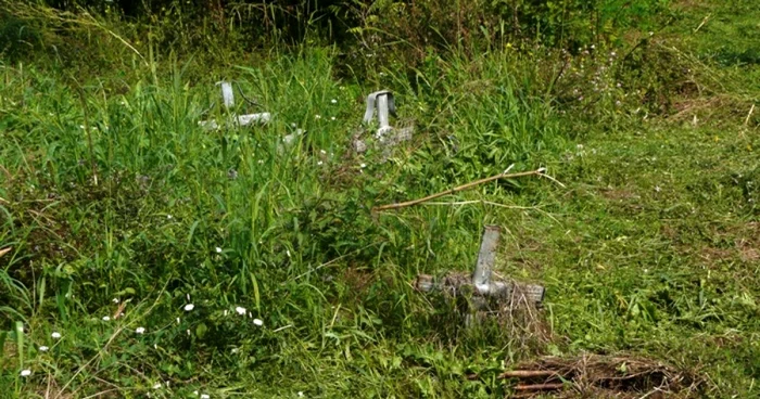 Cimitirul Săracilor Timişoara