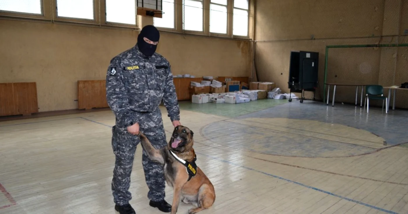Taz este un poliţist veritabil