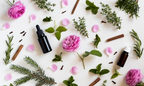 1 shutterstock 657684262 jpg jpeg