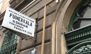 Cu ochii n 3,14 jpeg