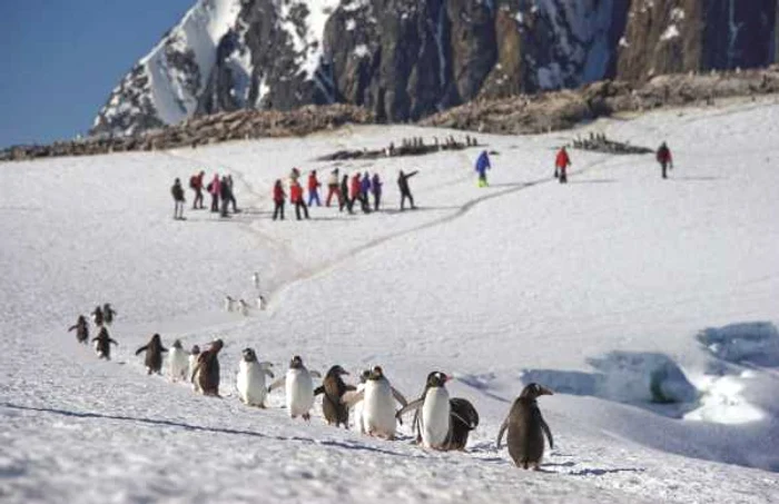 Antarctica_foto_Helmut Ignat