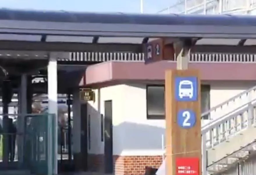 Un bărbat a fost atacat de urs într-o toaletă publică din Tokyo