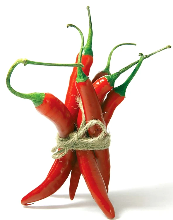 
    Foto: Shutterstock  