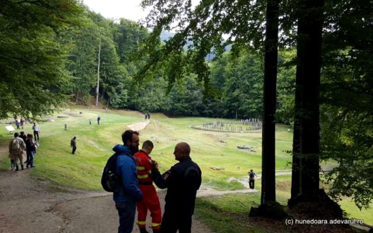 Unii dintre fagii care înconjoară incinta sacră riscă să se prăbuşească peste vestigii. FOTO: Daniel Guţă.