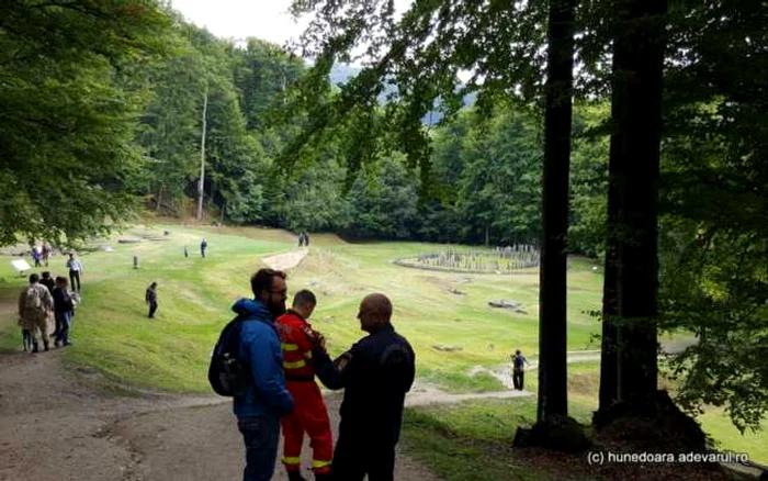 Unii dintre fagii care înconjoară incinta sacră riscă să se prăbuşească peste vestigii. FOTO: Daniel Guţă.