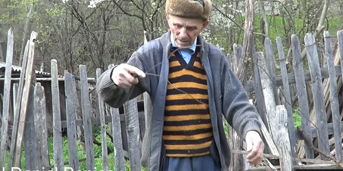 gica baci jpg