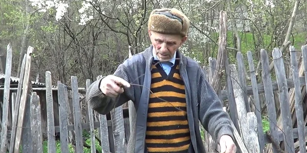 gica baci jpg