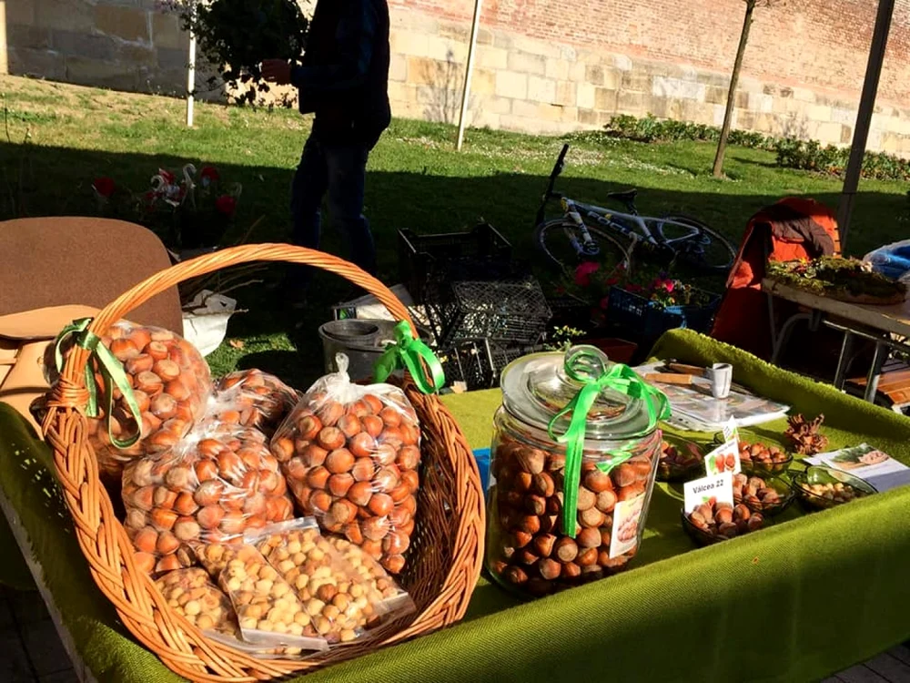 plantatie afacere alun