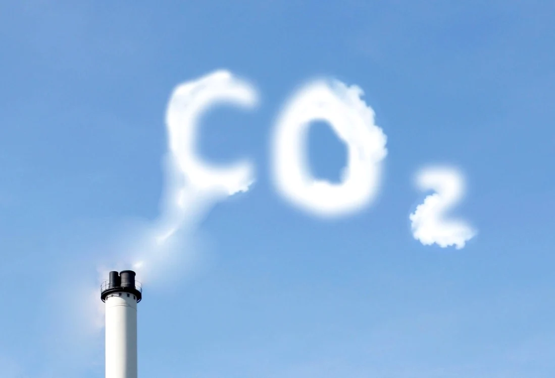Amprenta de carbon FOTO stopco2.ro