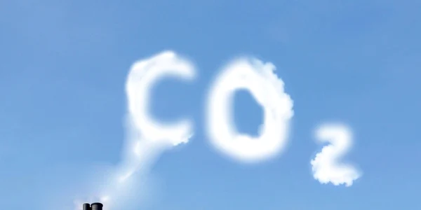 Amprenta de carbon FOTO stopco2.ro