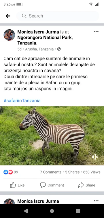 Safari