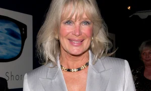 1 linda evans 1 shutterstock 99444083 jpg jpeg