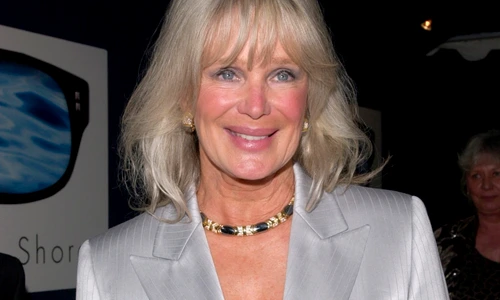1 linda evans 1 shutterstock 99444083 jpg jpeg