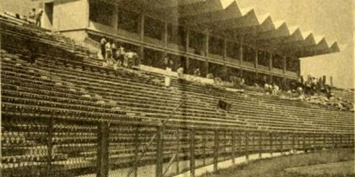 Stadion Dan Păltinişnau