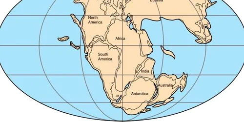 pangeea