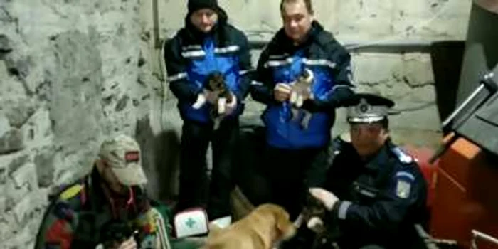 Căţeluşii au fost consultaţi FOTO:www.facebook.com/Inspectoratul.de.Jandarmi.Judetean.Gorj