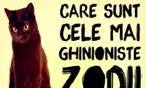 1 84487 original jpg jpeg