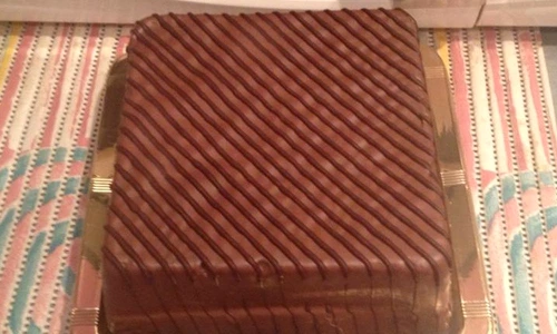 trunchi de copac jpeg