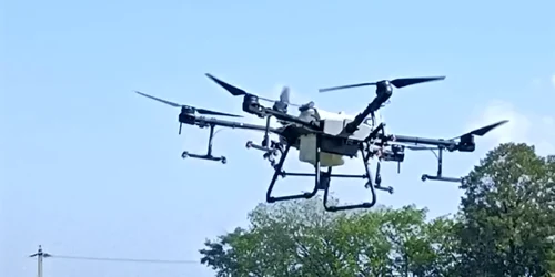 drone vii 2 jpg