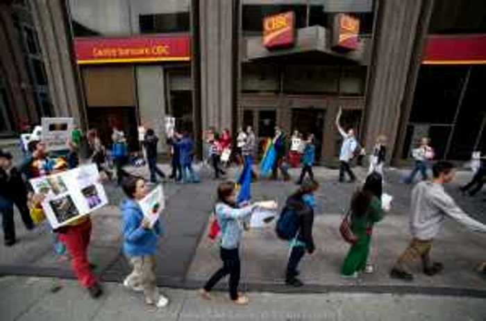 protest montreal rosia montana foto stiridemontreal.com