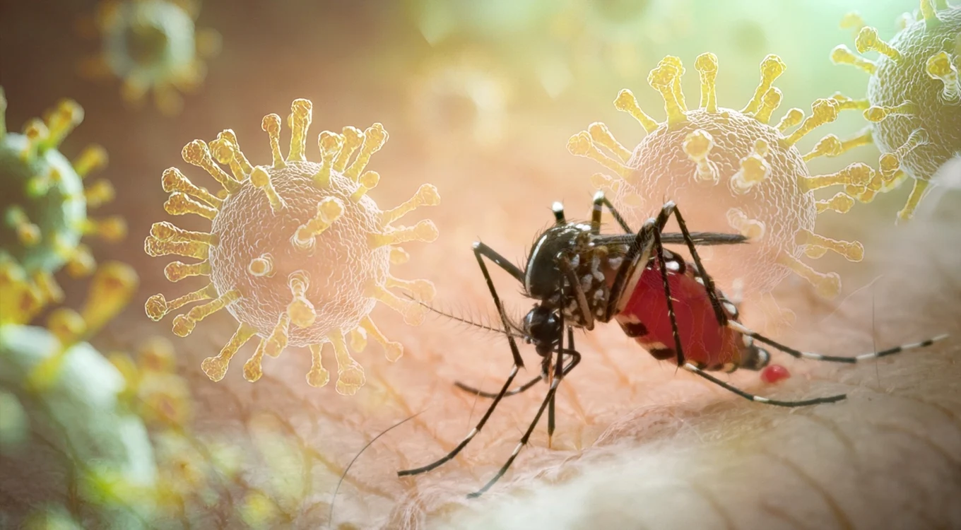 Primul caz de Chikungunya a fost confirmat în România FOTO: X