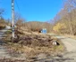 Satul Vica din Hunedoara Foto Daniel Guță ADEVĂRUL (53) jpg