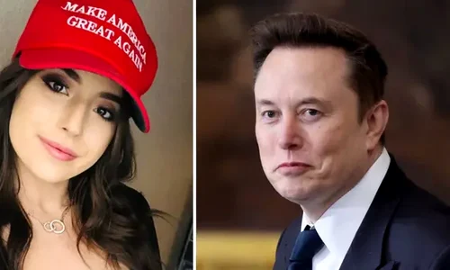 elon musk ashley png