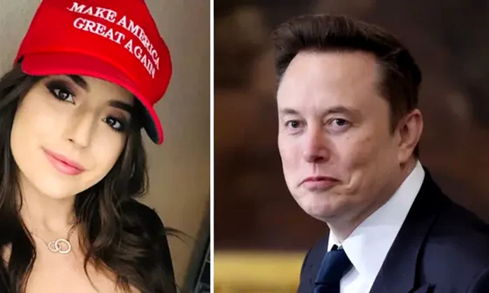 elon musk ashley png