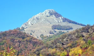 decebal refugul png