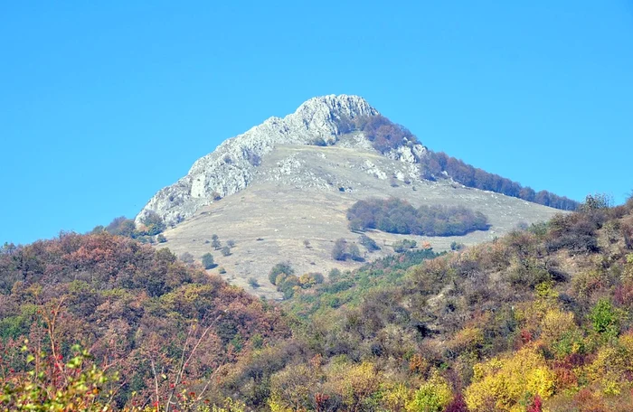 Piatra Craivii. Wikipedia