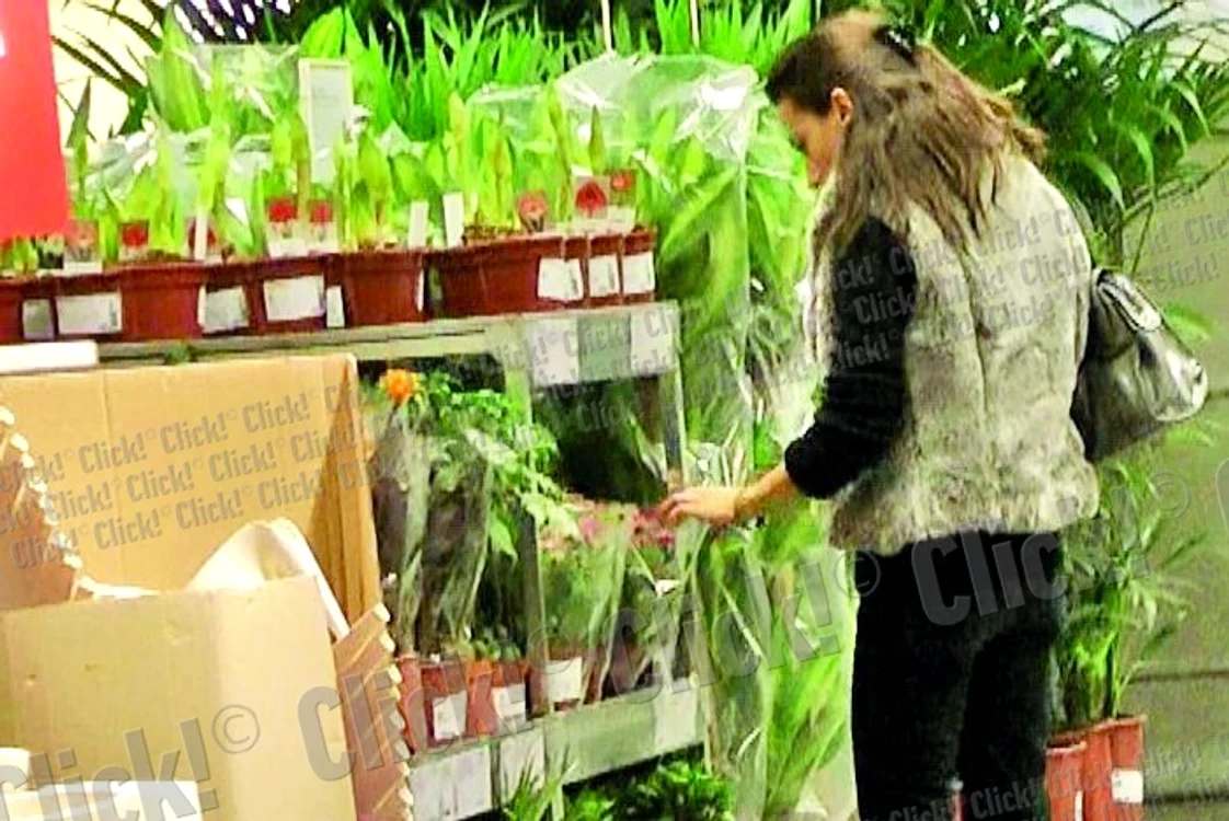 Andreea Răducan  a stat câteva minute  la standul de flori