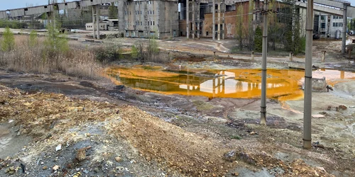 flotatia centrala foto gogreen resources jpg