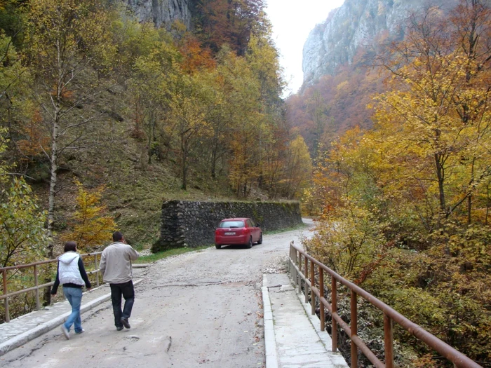 Cheile Olteţului oferă  peisaje superbe                                                                            Foto: Alin Ion