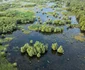 România Sălbatică   Luncă inundată   Parcul Natural Balta Mică a Brăilei jpg jpeg