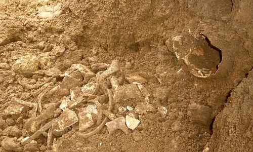 Un mormânt saxon, descoperit în curtea unei case jpeg