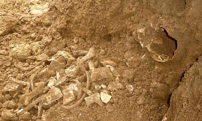 Un mormânt saxon, descoperit în curtea unei case jpeg