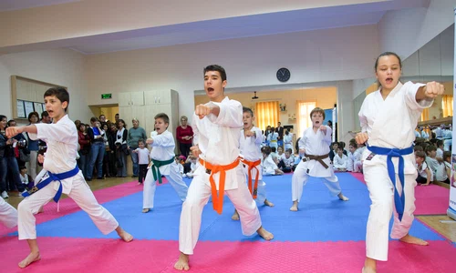 cursuri gratuite de karate pentru copii jpeg