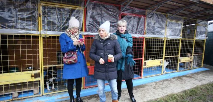Gianina Corondan, Maria Radu şi Silvia Dumitrescu la adăpostul Red Panda FOTOGRAFII: Florin Ghioca