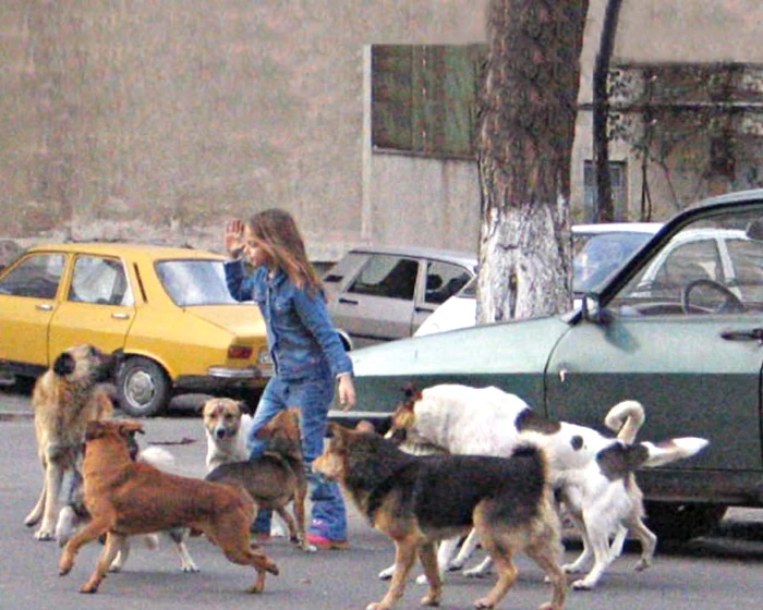 Am sperat că prin noua lege astfel de imagini vor dispărea. Se pare însă că nu va fi aşa