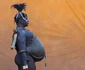 Etiopia