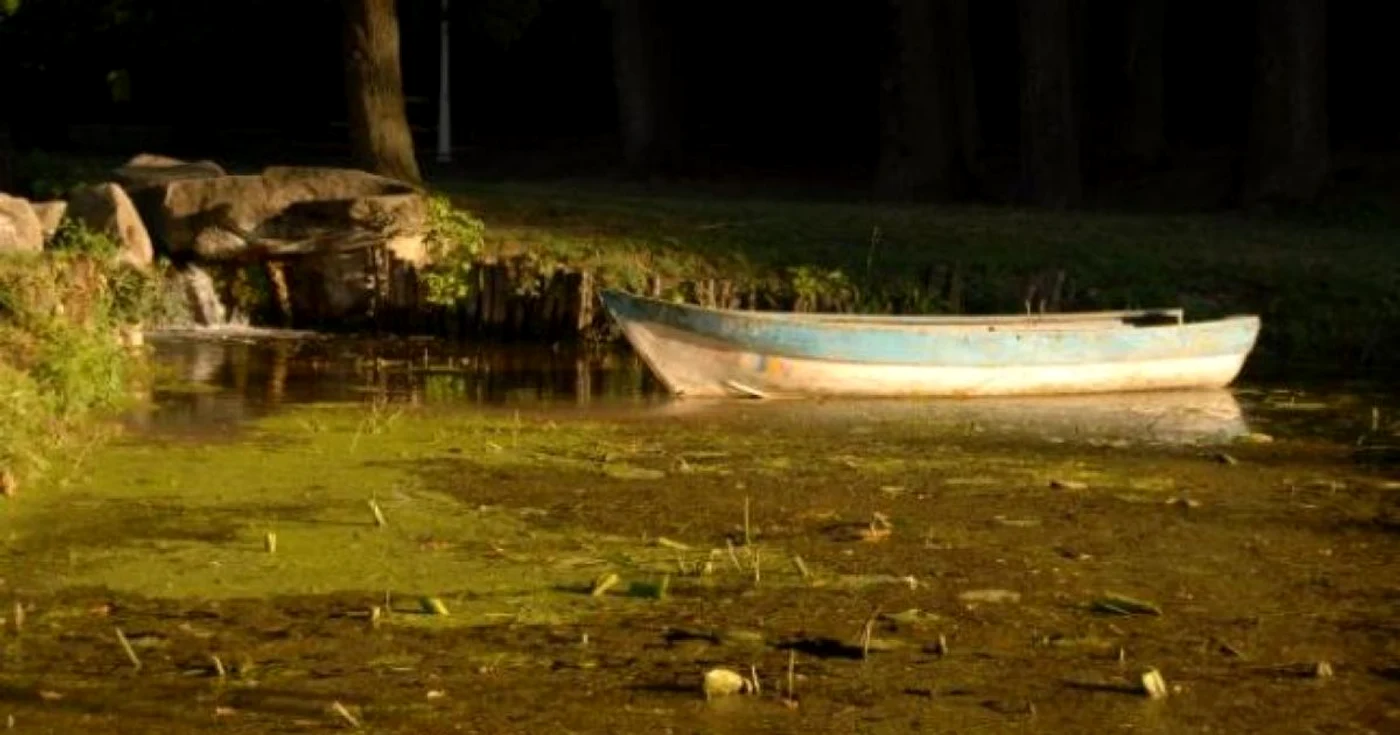 Parcul Nicolae Romanescu se întinde pe o suprafaţă de 90 d ehectare şi se află pe lista monumentelor istorice