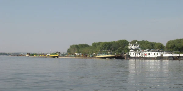 calarasi chiciu