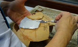 Foto: © Facebook / Muzeul Civilizaţiei Dacice şi Romane Deva