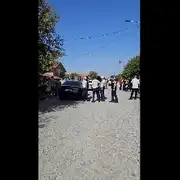 crima teleorman (1) gif