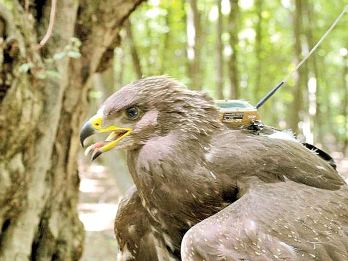 Despre surata ei, Erika, nu se mai ştie nimic