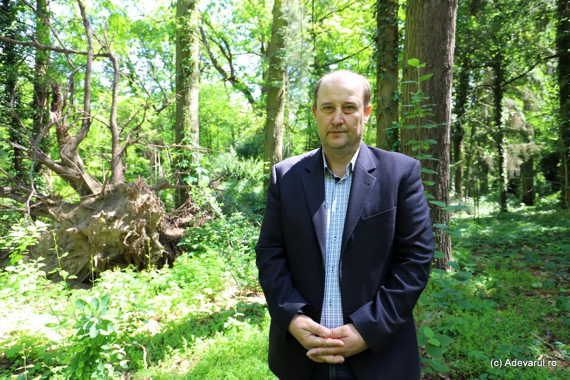 Daniel Pitar. Foto: Daniel Guță. ADEVĂRUL