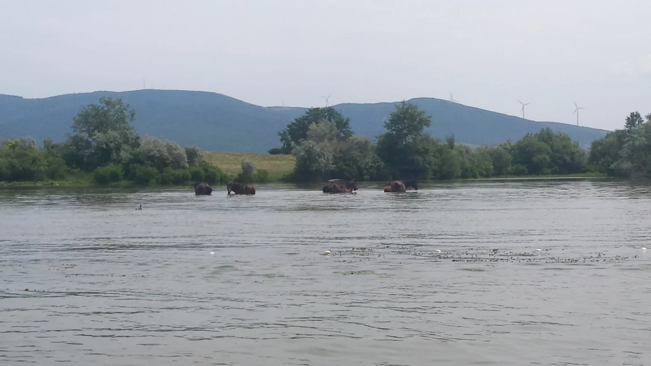 Paradisul de pe Insula Ostrov FOTO Ştefan Both