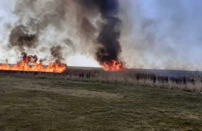 Pompierii au intervenit aproximativ 3 ore pentru stingerea flăcărilor FOTO ISU Ialomiţa