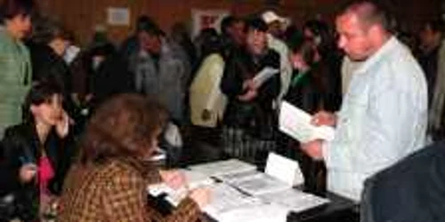 Bistriţenii aflaţi în căutarea unui loc de muncă se pot adresa AJOFM