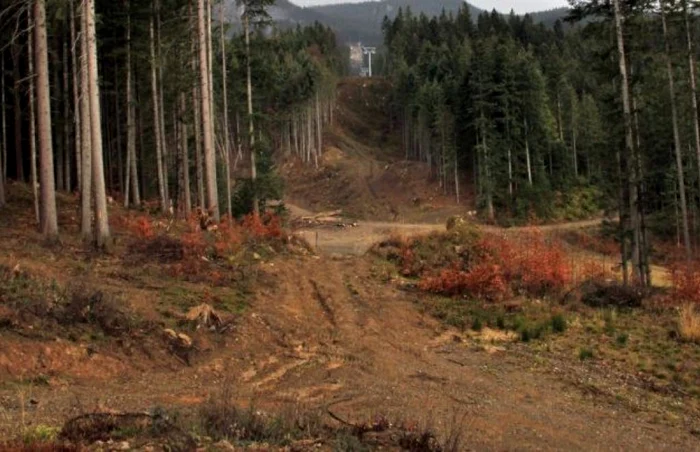 Lucrările la pârtia de schi din masivul Rarău au fost abandonate de autorităţi. FOTO: www.campulungmoldovenesc.ro